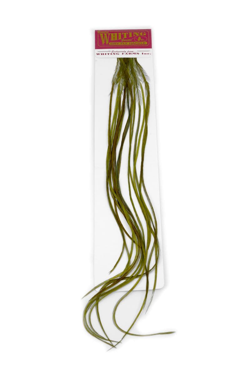 Whiting 100 Pk Size 16 White dyed Dark Olive view 2
