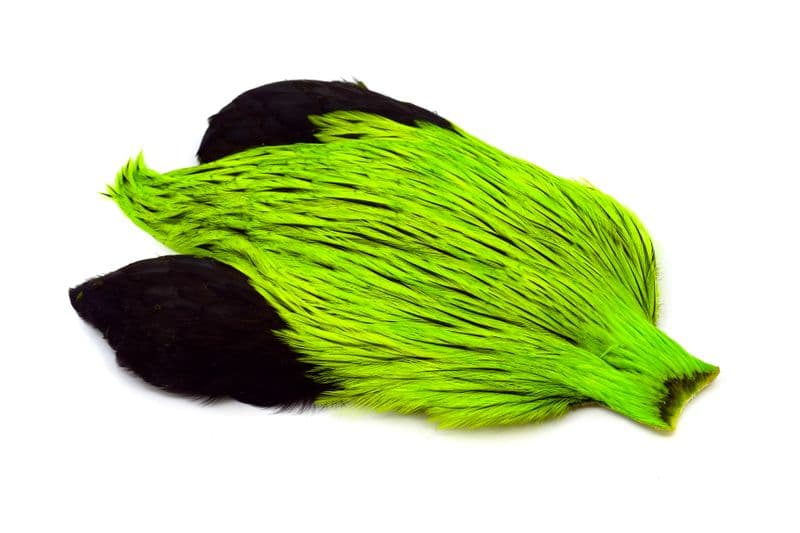 Brahma Rooster Cape Badger dyed Fl Green Chartr view 2