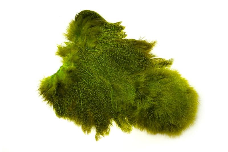 Coq De Leon Hen SH/C Speckled dyed Fl. Green Chartreuse view 4