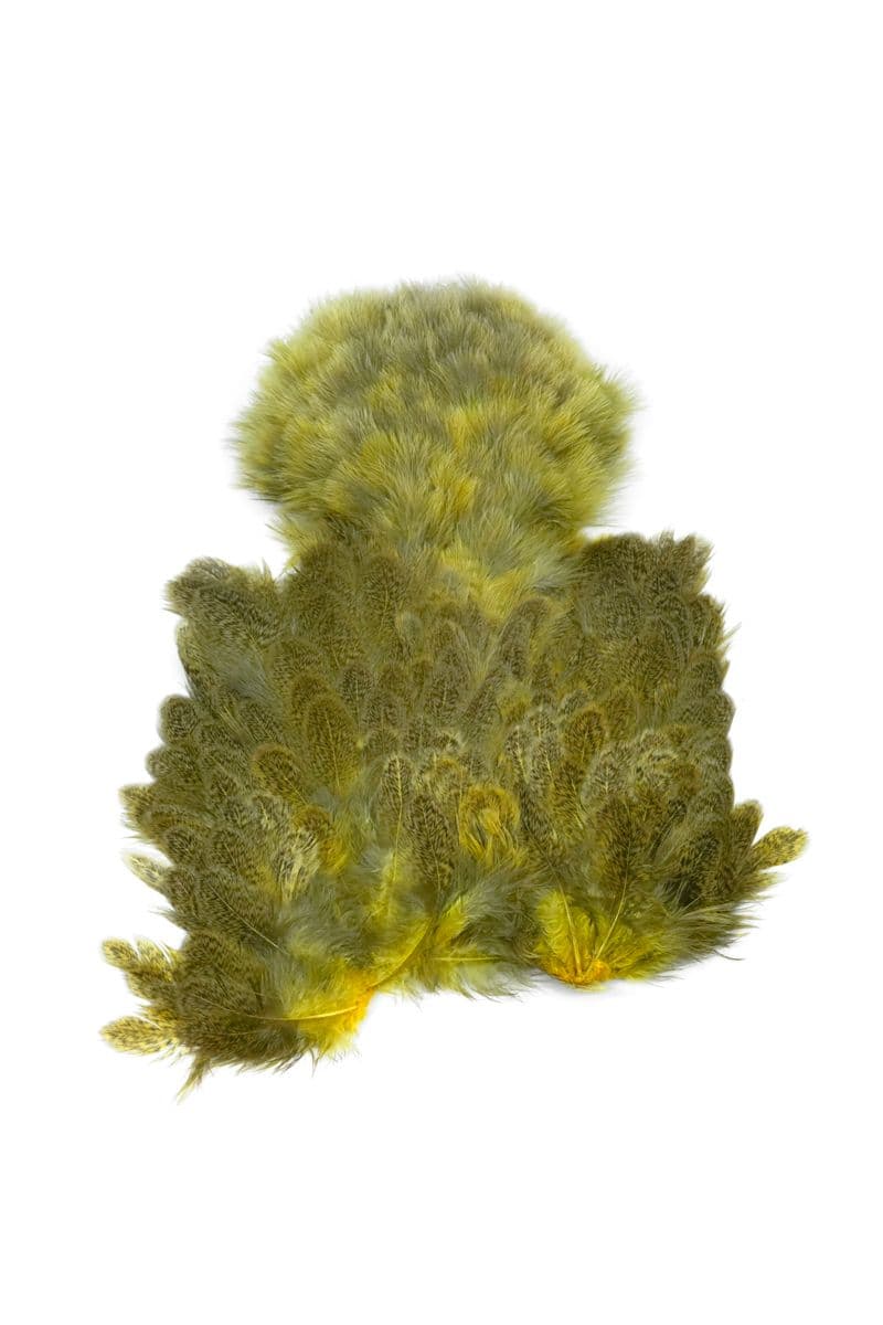 Brahma Hen SH/C Mottled Grey dyed Pale Yellow view 3