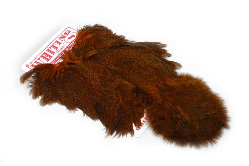Coq De Leon Hen SH/C Speckled dyed Burnt Orange view 2