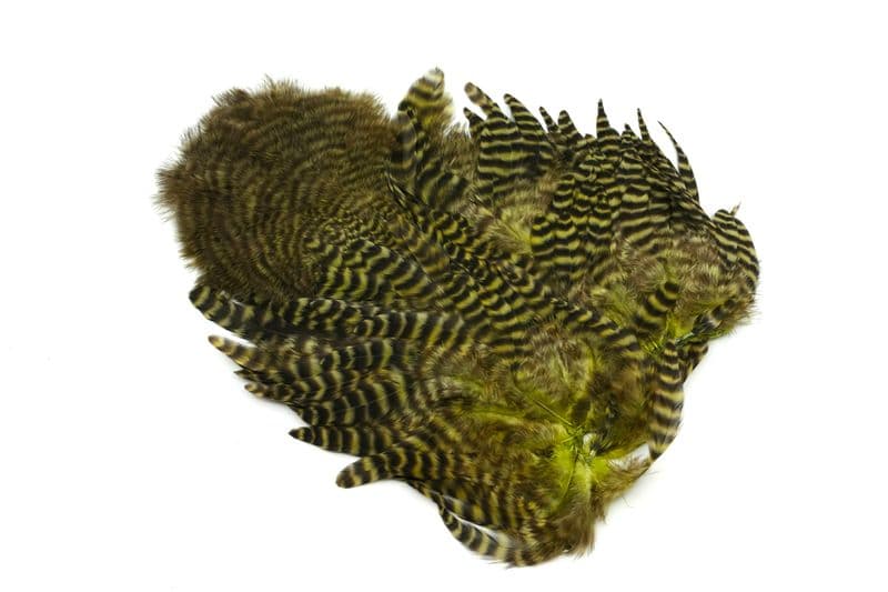 Whiting Rooster SH/C Grizzly dyed Dark Olive view 1