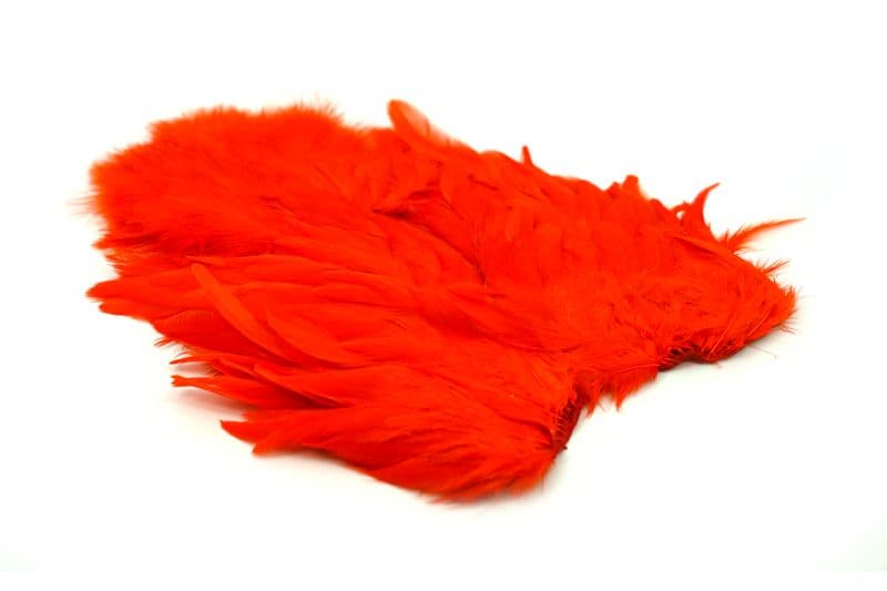 American Hen SH/C White dyed Orange view 2