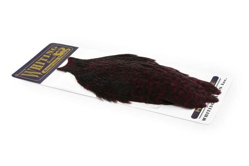 American Hen Cape Grizzly dyed Claret view 2