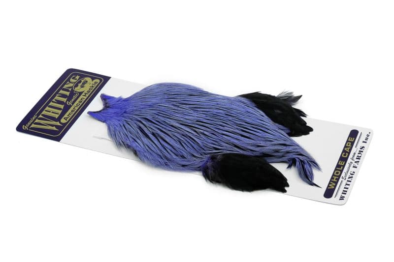 American Rooster Cape Badger dyed Lavender view 2