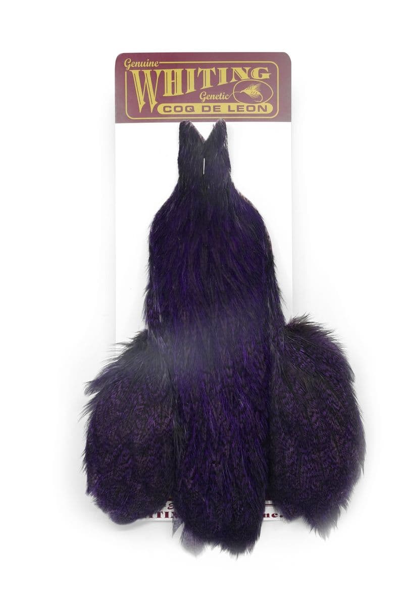 Coq de Leon Hen Cape Speckled dyed Purple view 3