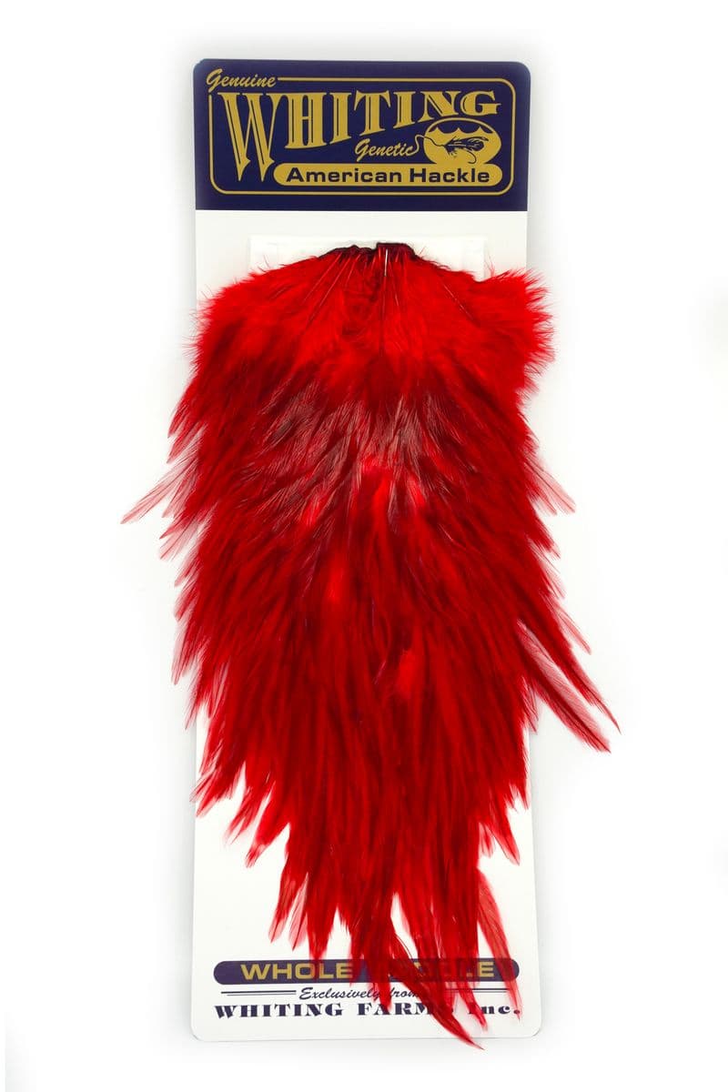 American Rooster Saddle White dyed Red view 3