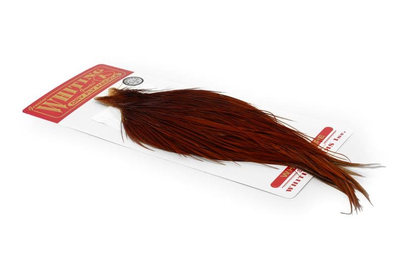 Whiting Silver Cape Brown view 2