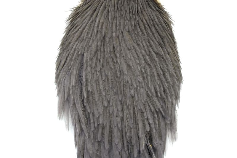 Whiting Hen Cape White dyed Dark Dun view 1
