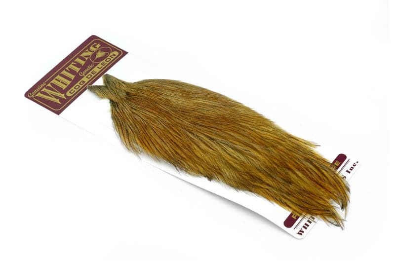 Coq de Leon Cape Badger view 2