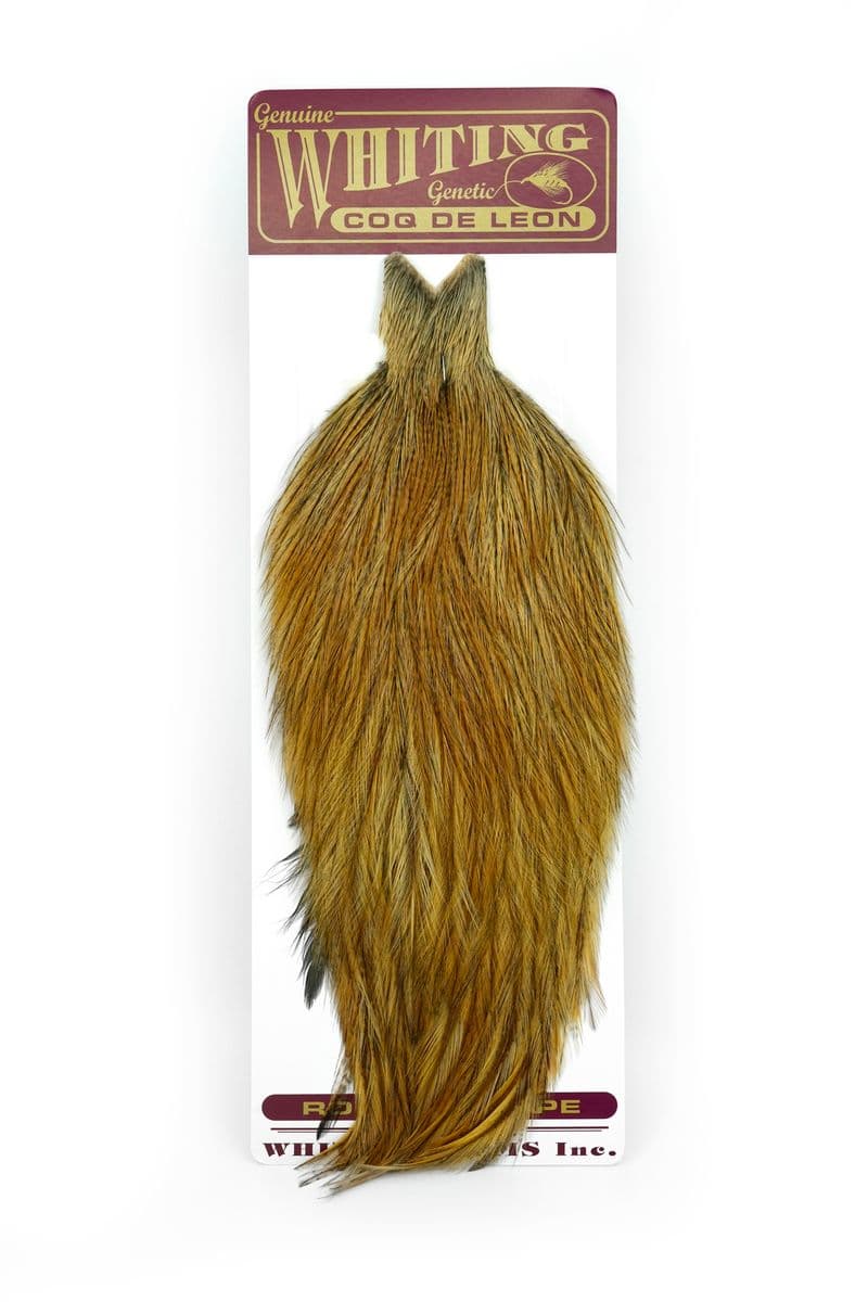 Coq de Leon Cape Badger view 3