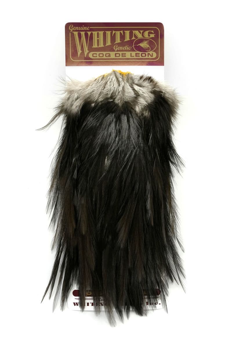 Coq de Leon Bronze Saddle Black view 3