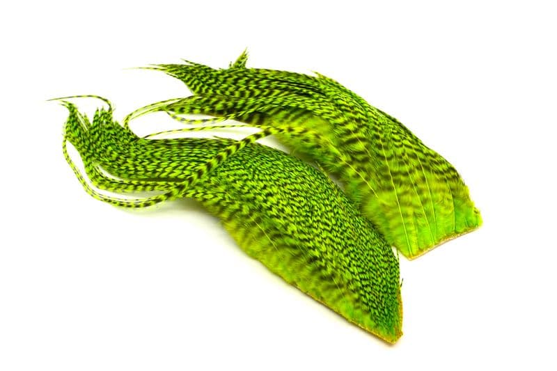 Whiting Bugger Pack Grizzly dyed Fl. Green Chartreuse view 4