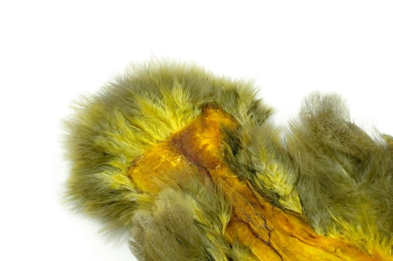 Brahma Hen SH/C Mottled Grey dyed Pale Yellow view 1