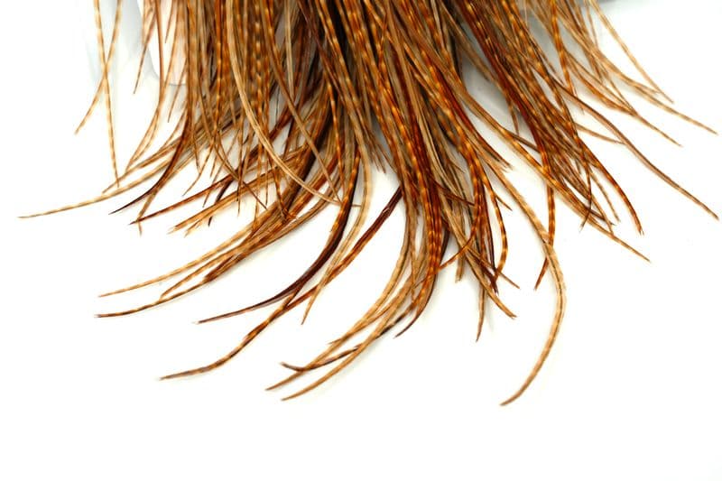 Whiting Gold Saddle Barred Dark Ginger view 5