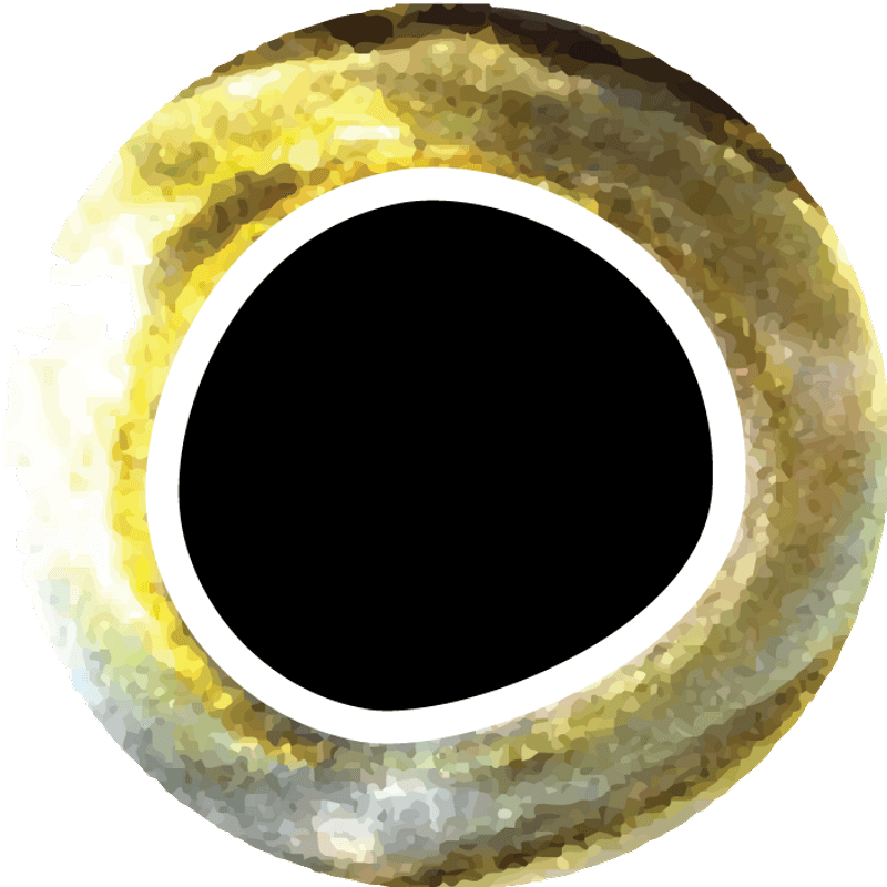 Cool Eyes Yellow 10mm view 1