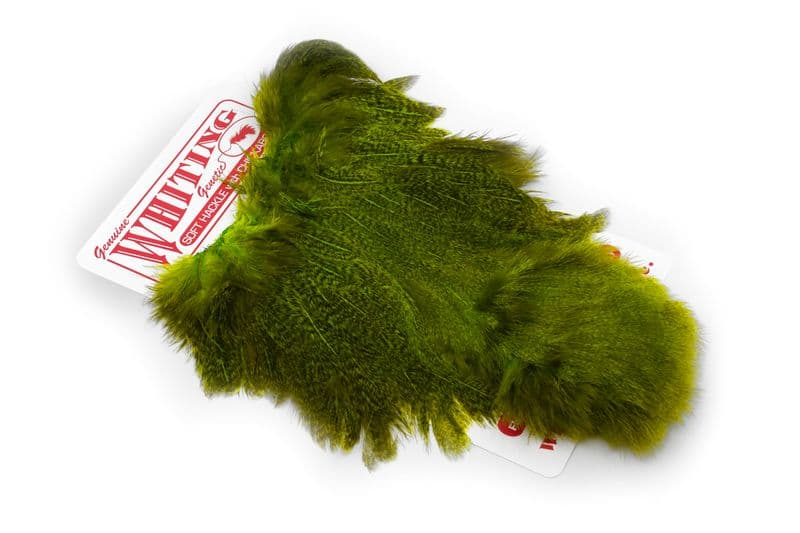 Coq De Leon Hen SH/C Speckled dyed Fl. Green Chartreuse view 2