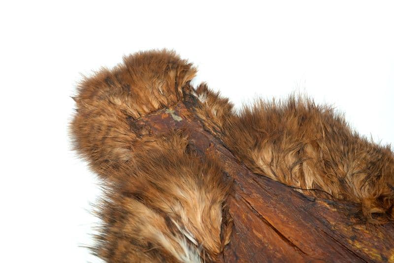 Spey SH/C Grizzly dyed Brown view 1
