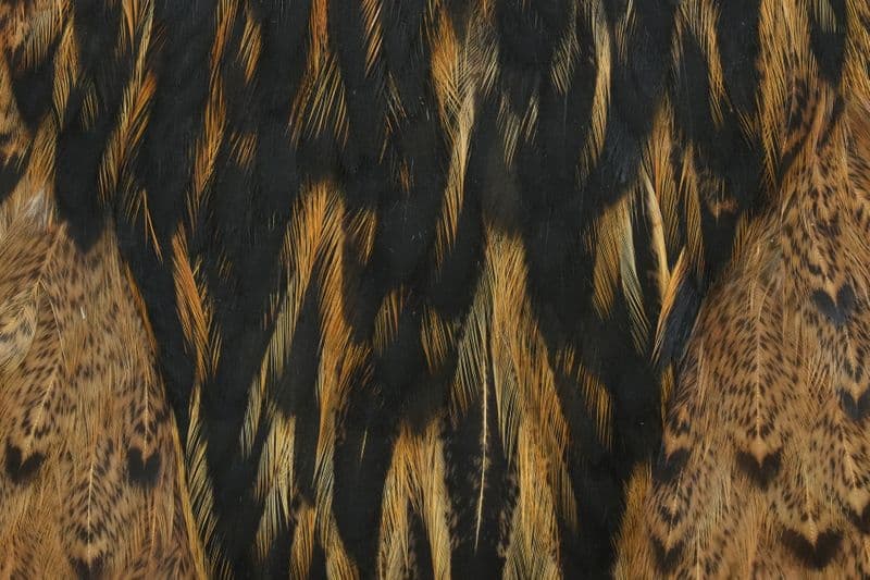 Brahma Hen Cape Badger dyed March Brown