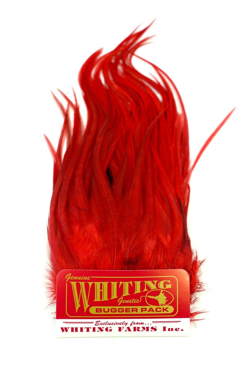 Whiting Bugger Pack White dyed Red view 3