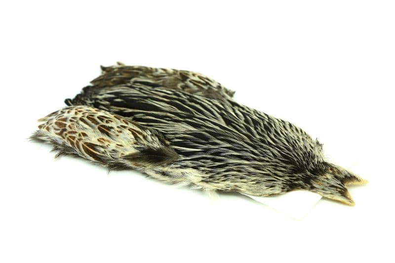 4 B's Hen Cape Unique Variant view 1