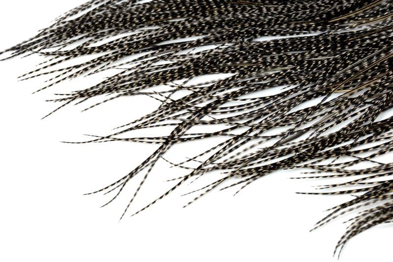 Whiting Bronze Midge Saddle Grizzly Variant view 4