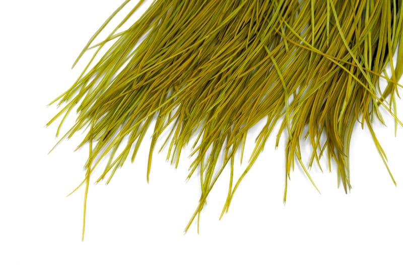 Whiting Pro Grade Midge Saddle White dyed Olive view 4