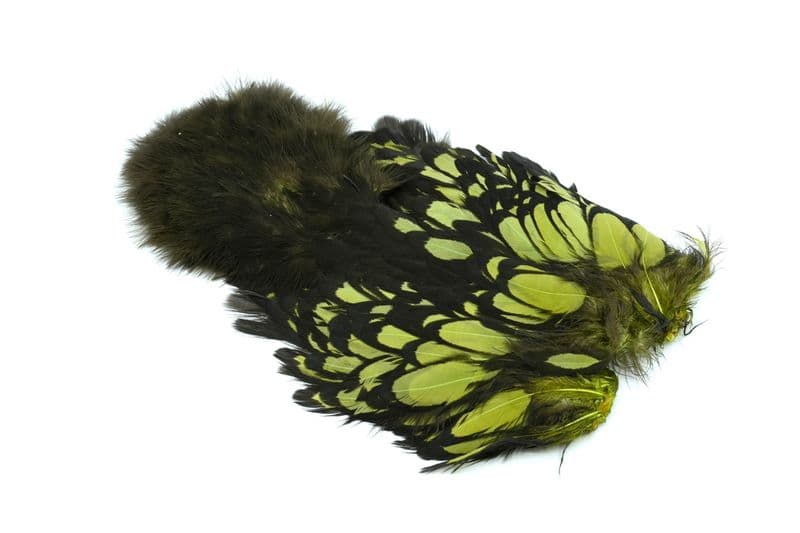 American Hen SH/C BLW dyed Olive view 2