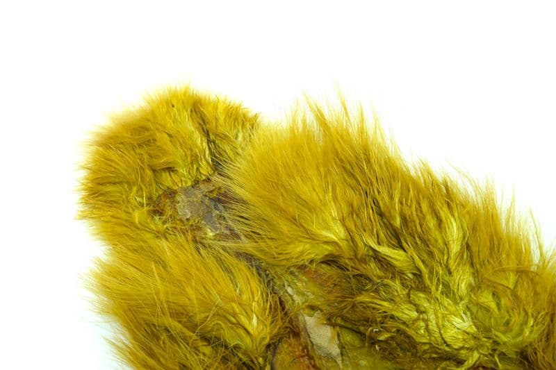 Spey SH/C White dyed Golden Olive view 1