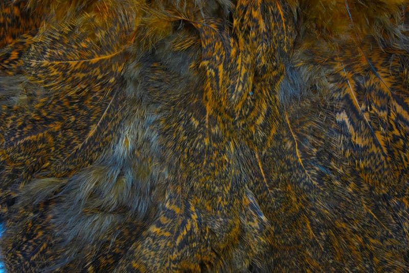 Coq De Leon Hen SH/C Speckled dyed Shrimp Orange view 1