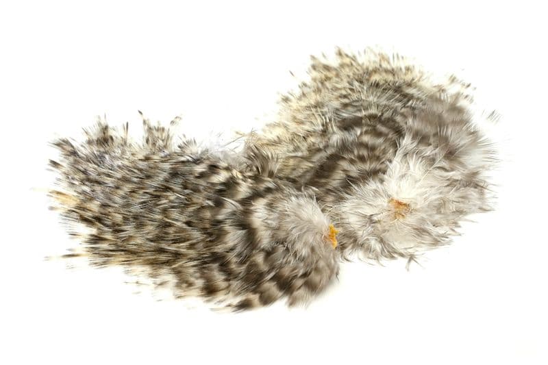 Coq de Leon Tailing Pack Grizzly Pardo view 3