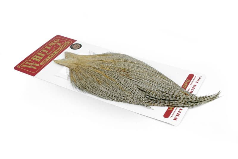 Whiting Bronze Cape Unique Variant view 2