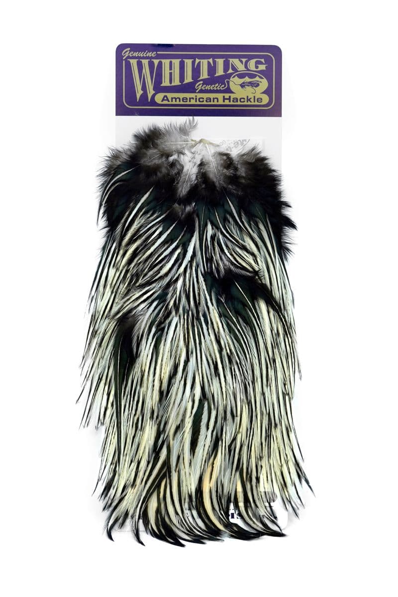 American Rooster Saddle Black laced White view 3