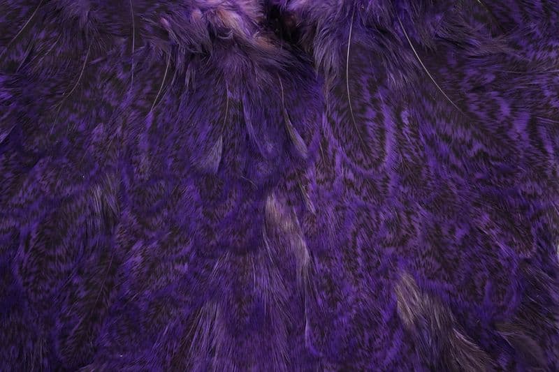 Coq De Leon Hen SH/C Speckled dyed Purple view 1