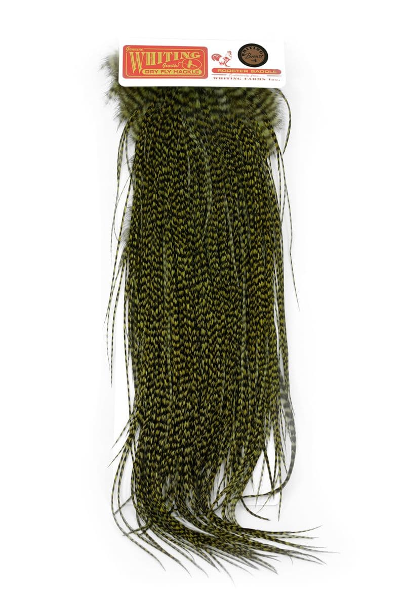 Whiting Bronze Midge Saddle Grizzly dyed Dark Olive view 3