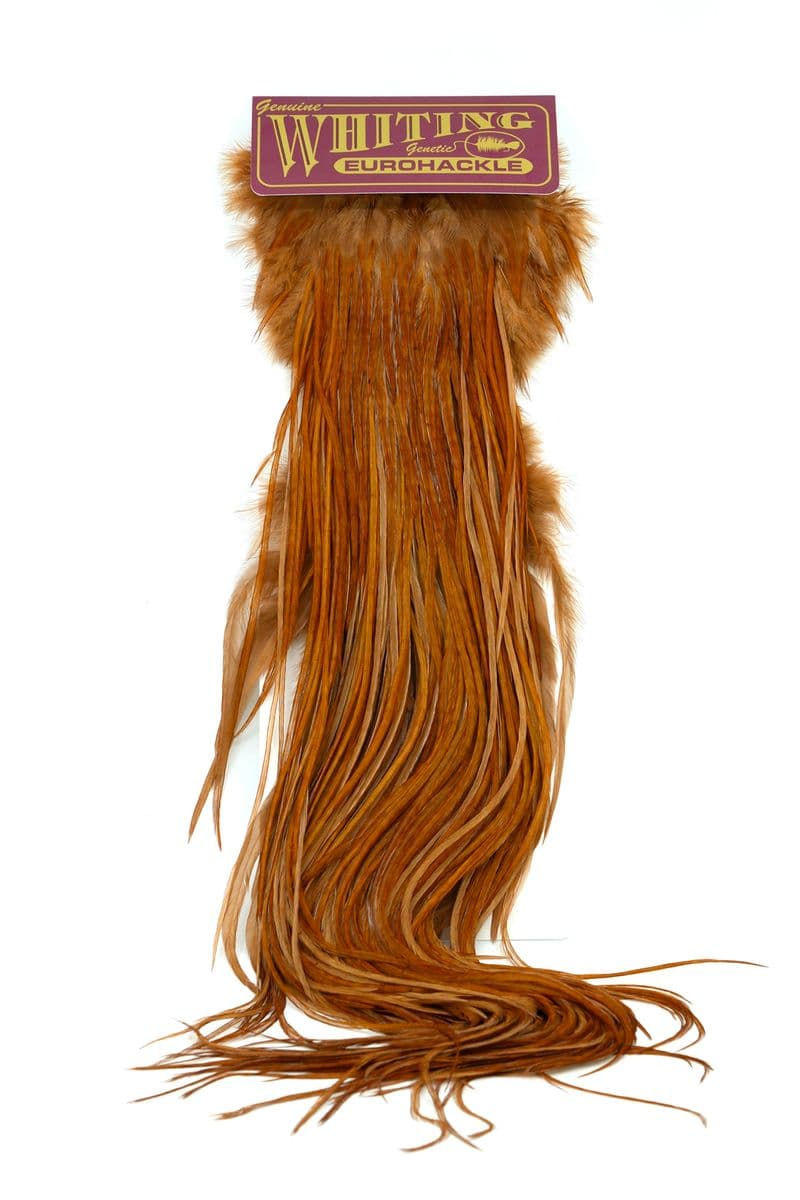 Eurohackle Saddle White dyed Brown view 3