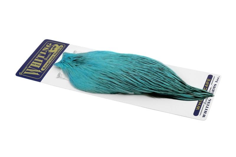 American Rooster Cape BLW dyed Silver Dr. Blue view 2