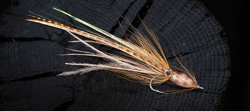 SA220 Streamer # view 5