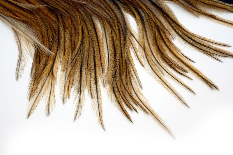 Coq de Leon Silver Saddle Ginger Pardo view 4
