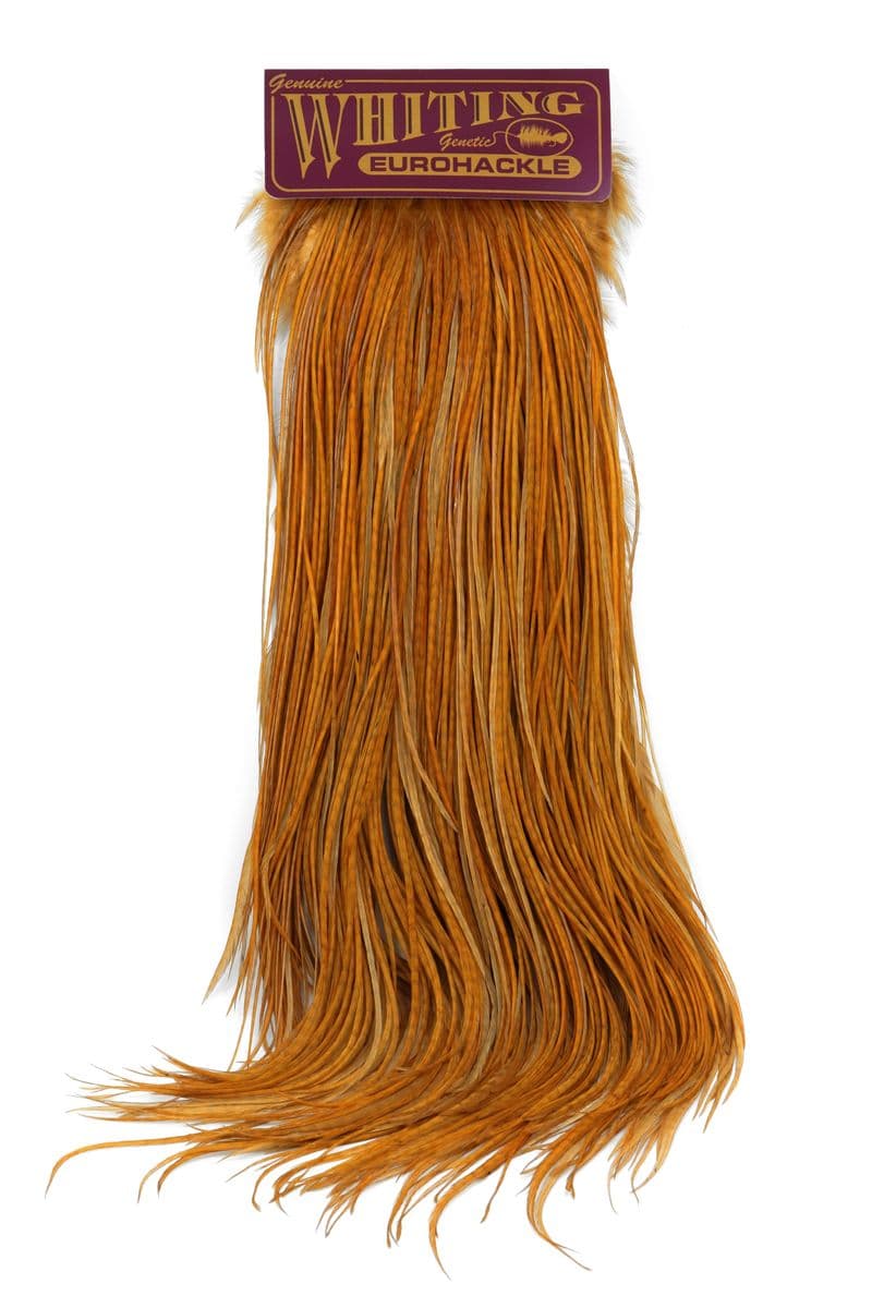 Eurohackle Saddle White dyed March Brown view 3