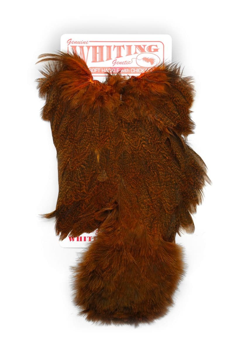 Coq De Leon Hen SH/C Speckled dyed Burnt Orange view 3