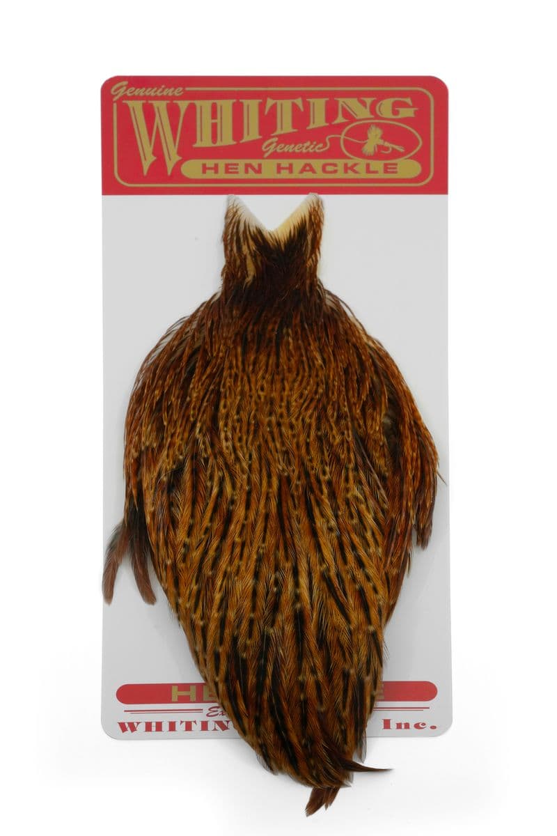 Whiting Hen Cape Barred Dark Ginger view 2