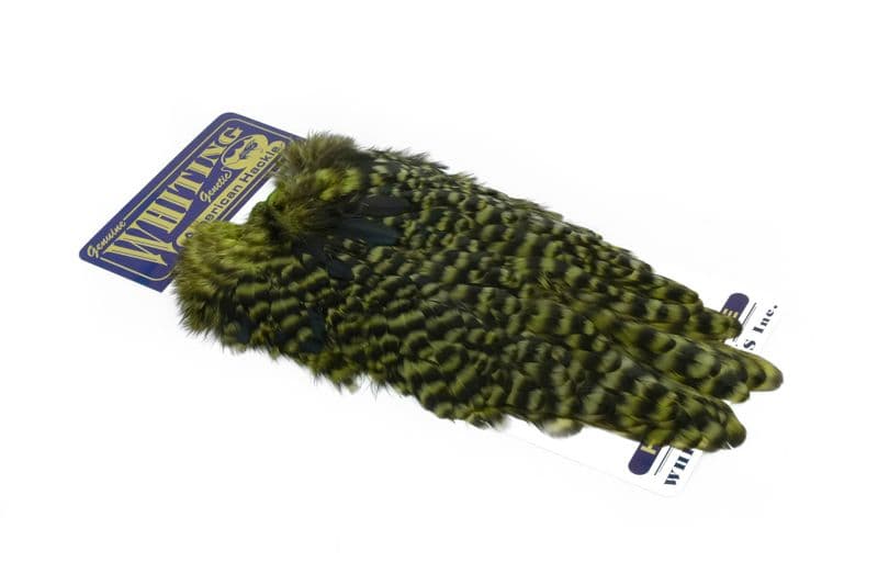 American Hen Saddle Grizzly dyed Olive view 2