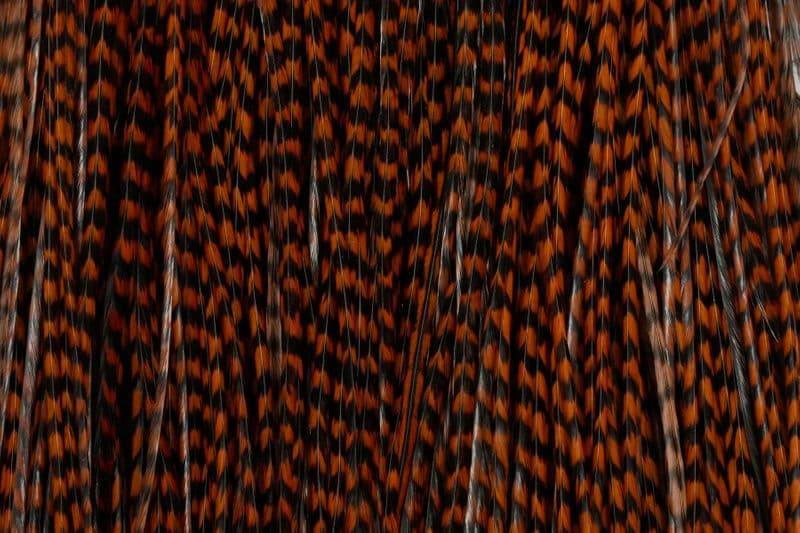 Whiting Bronze Midge Saddle Grizzly dyed Brown view 1
