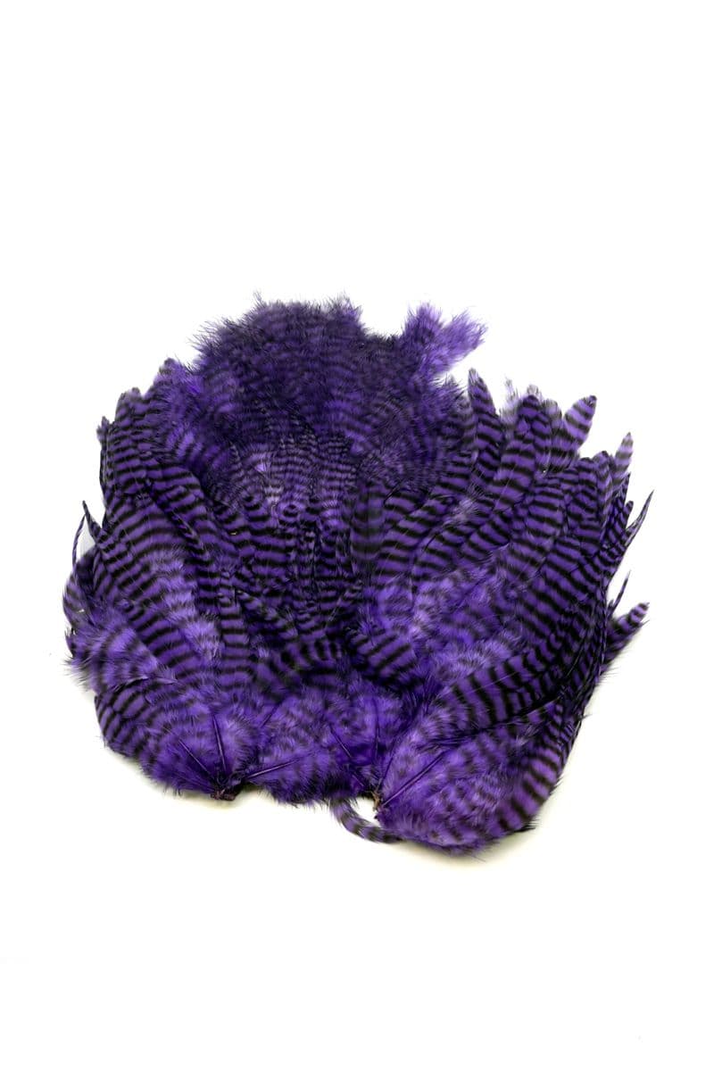 Whiting Rooster SH/C Grizzly dyed Purple view 3