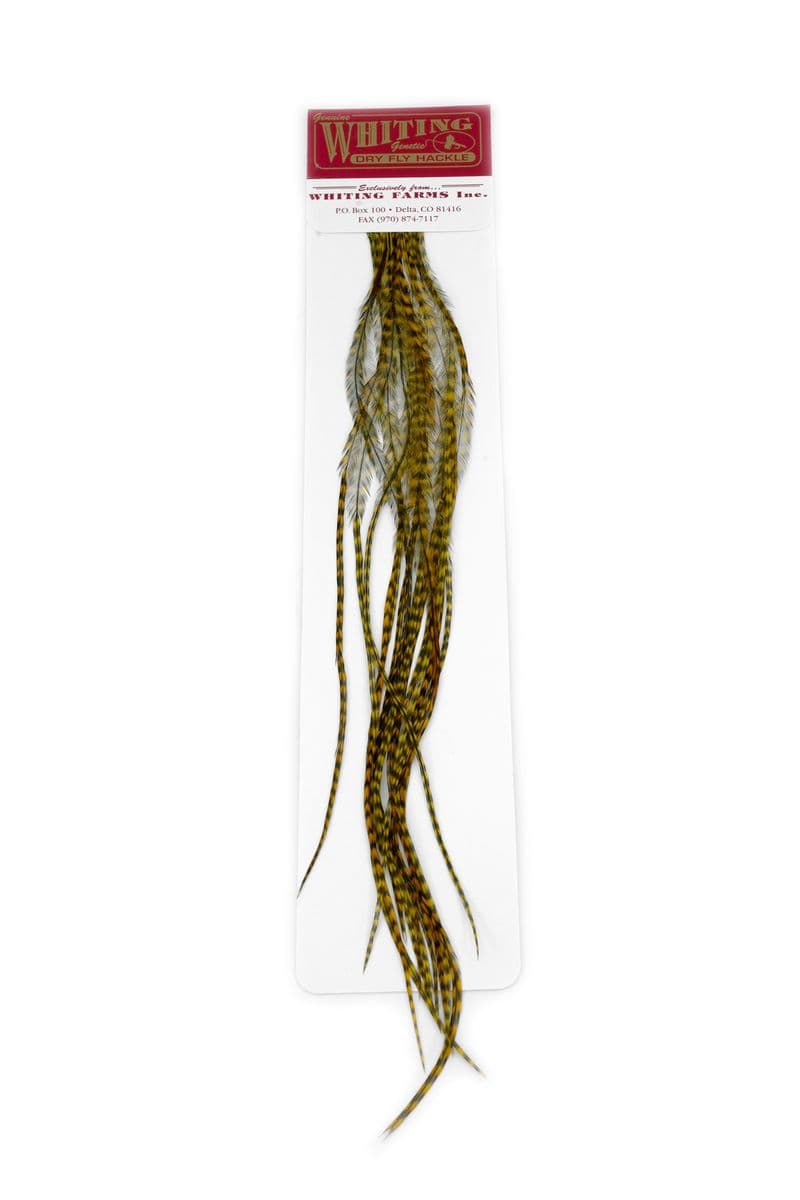 Whiting 100 Pk Size 18 Grizzly dyed Golden Olive view 2