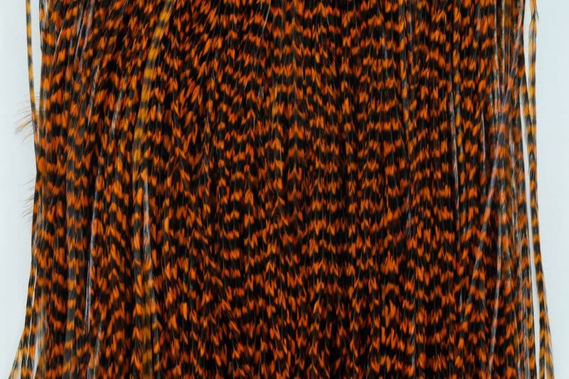 Whiting Silver Saddle Grizzly dyed Burnt Orange view 1