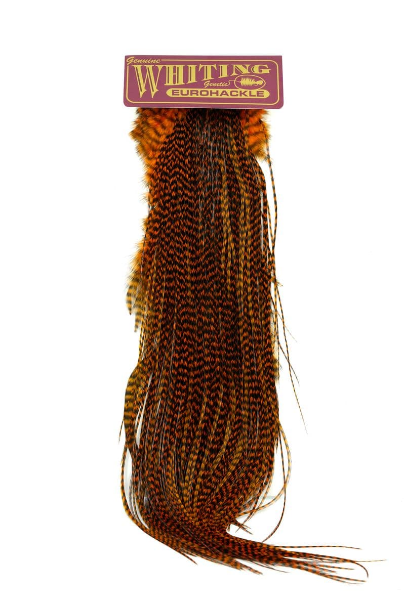 Eurohackle Saddle Grizzly dyed Burnt Orange view 3