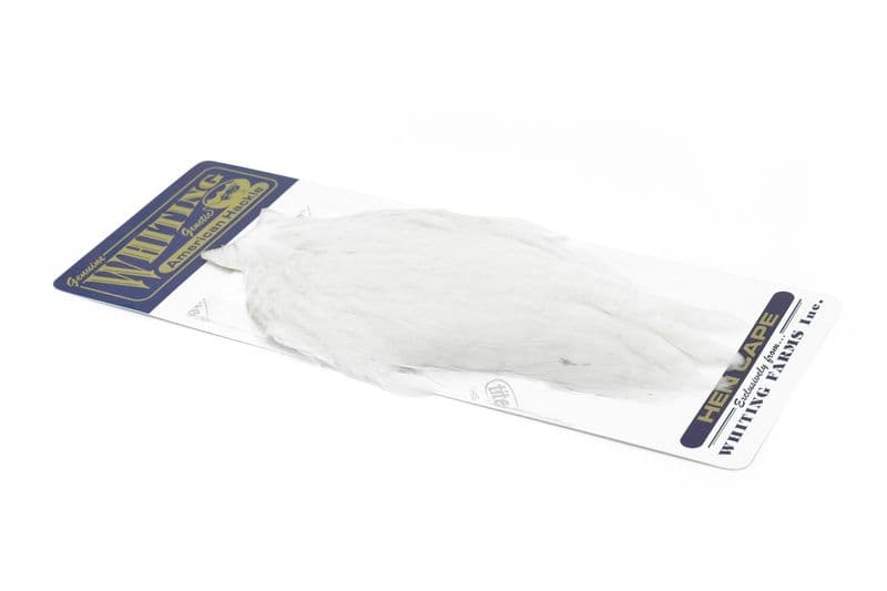 American Hen Cape White view 2