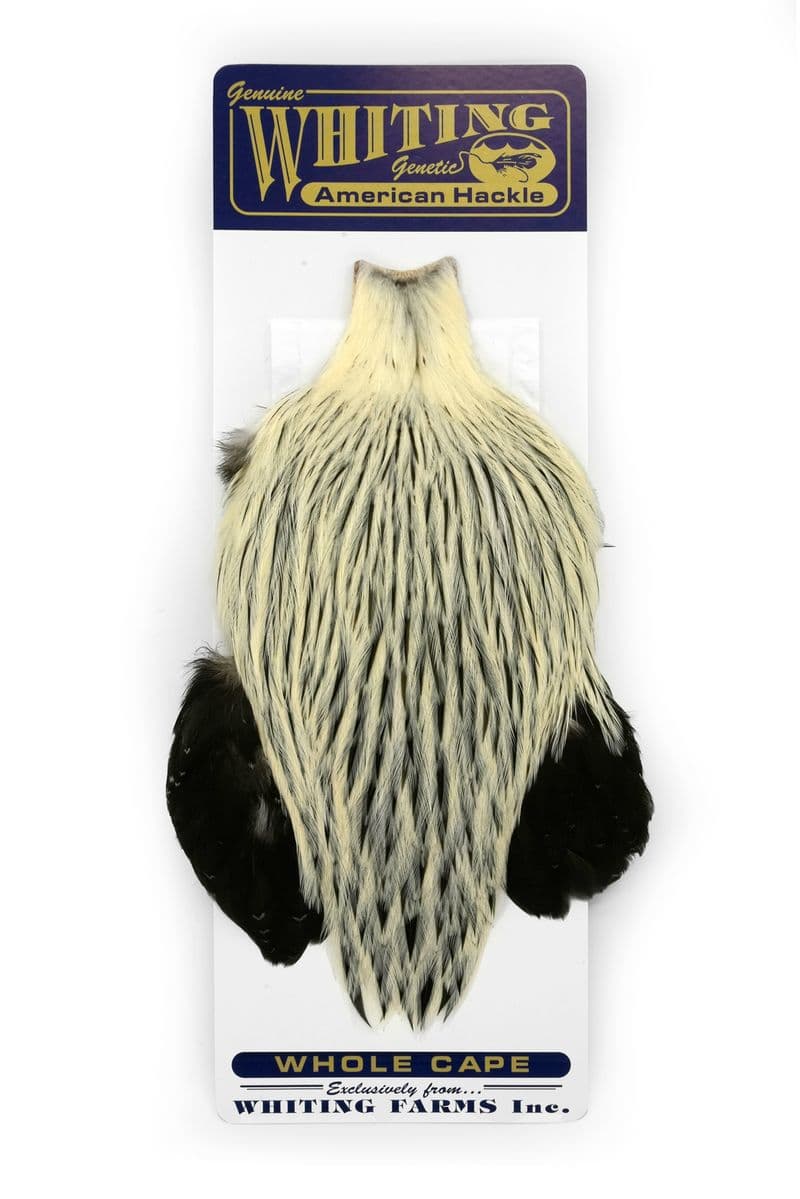 American Rooster Cape Silver Badger view 3